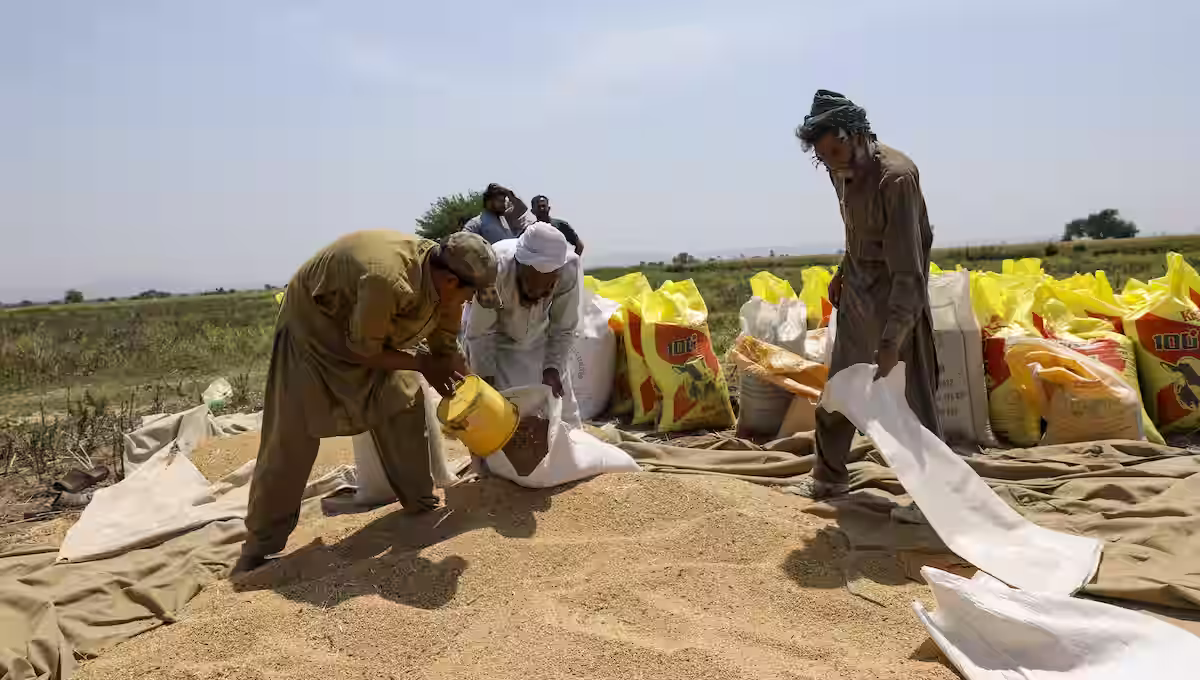 Добрива з Перської затоки під блокадою - світ на межі голоду 2 Добрива З Перської Затоки